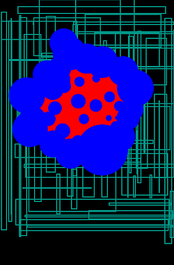 Bacteria