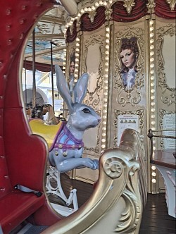 Zoom sur le Lapin